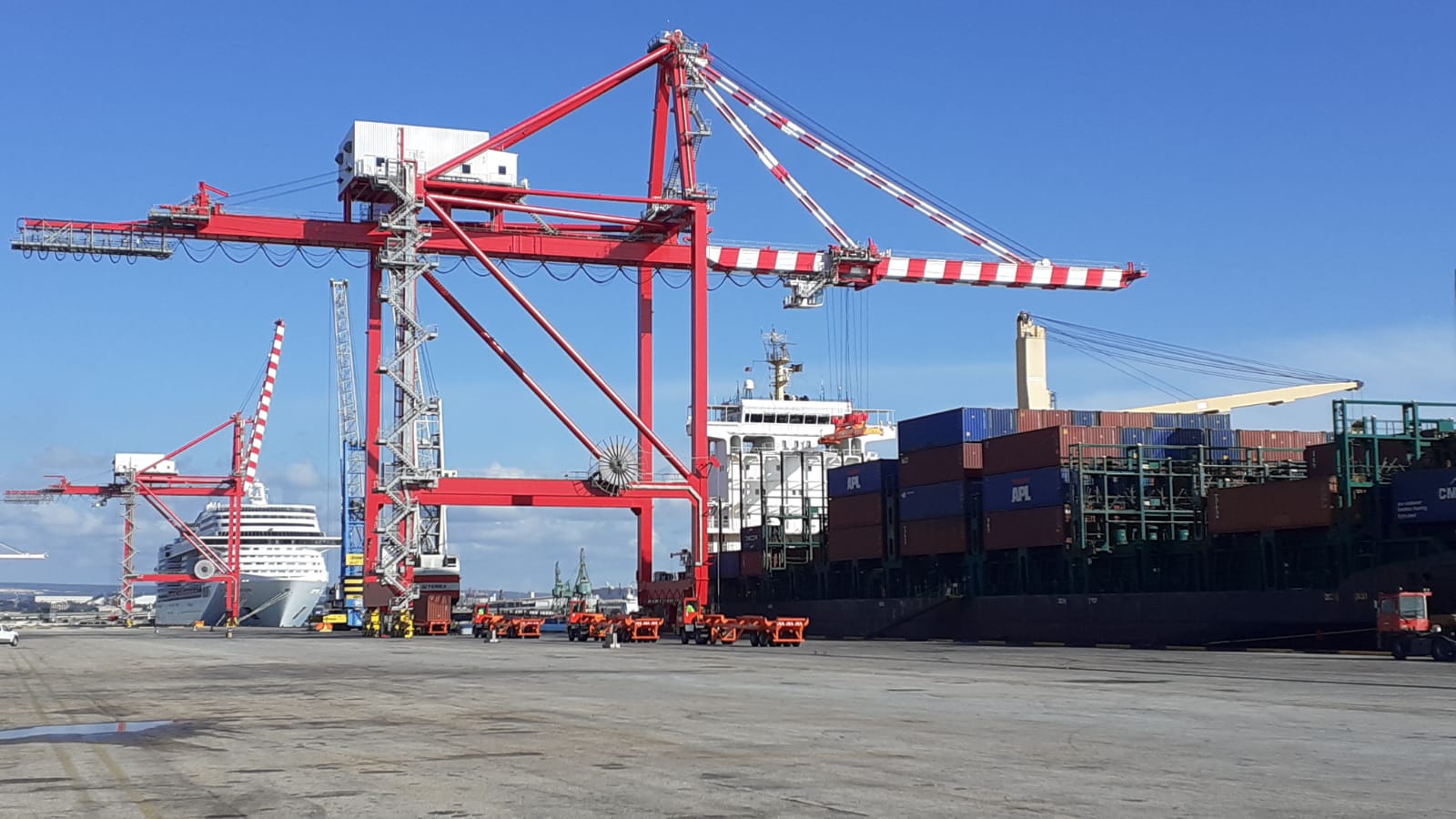 San-Cataldo-Container-Terminal-gru-di-banchina