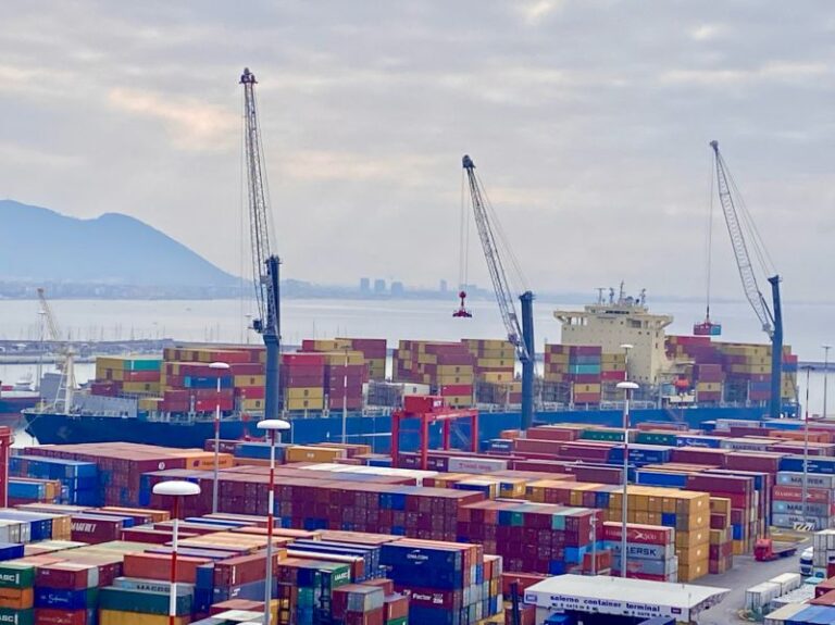 MSC-Adonis-al-salerno-Container-Terminal