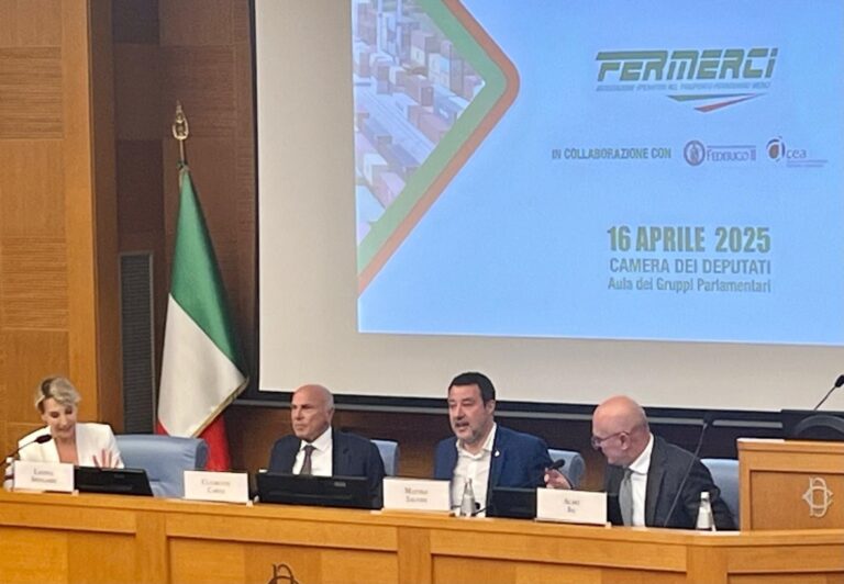 fermerci salvini 2025