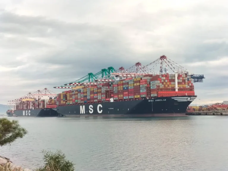 Msc-Amelia-e-Msc-Sixin-al-terminal-MCT-Gioia-Tauro